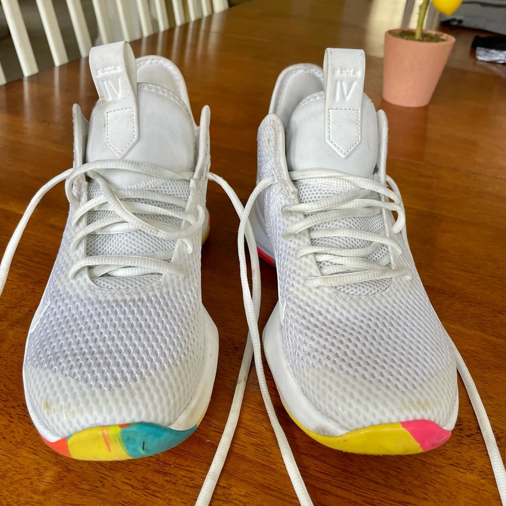 Lebron Witness IV Multi Color Nike Sneakers